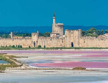 camargue